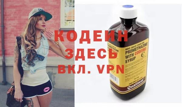 хмурый Щучье