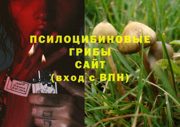 mdma Щигры