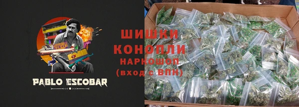 ECSTASY Яровое